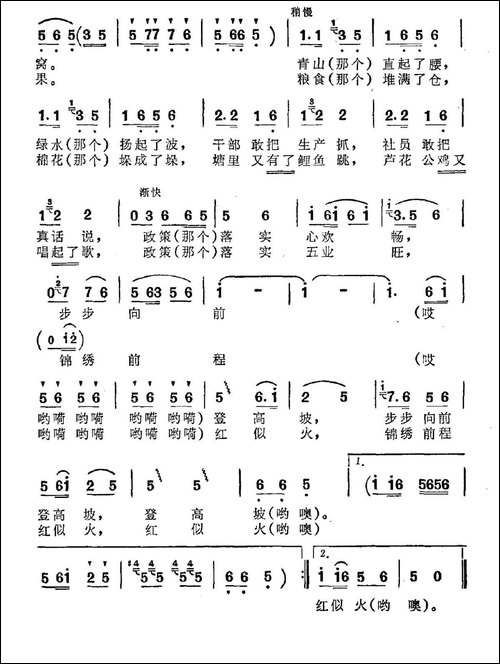 农村的经济政策暖心窝