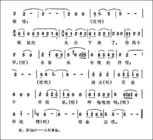 旱地里结金豆哩-撒拉族
