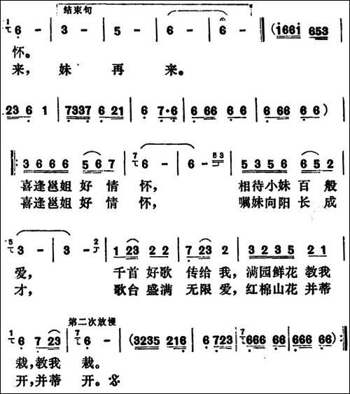红棉山花并蒂开