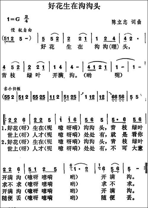 好花生在沟沟头