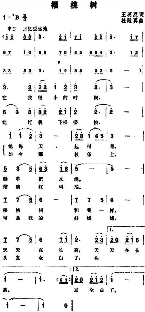 樱桃树