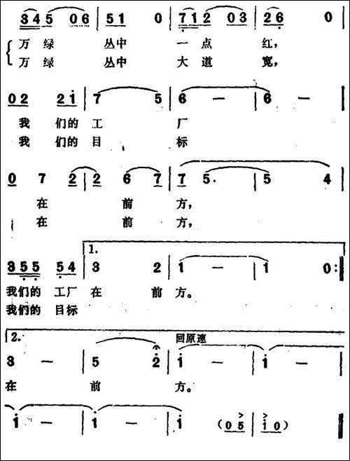 走在林萌大道上