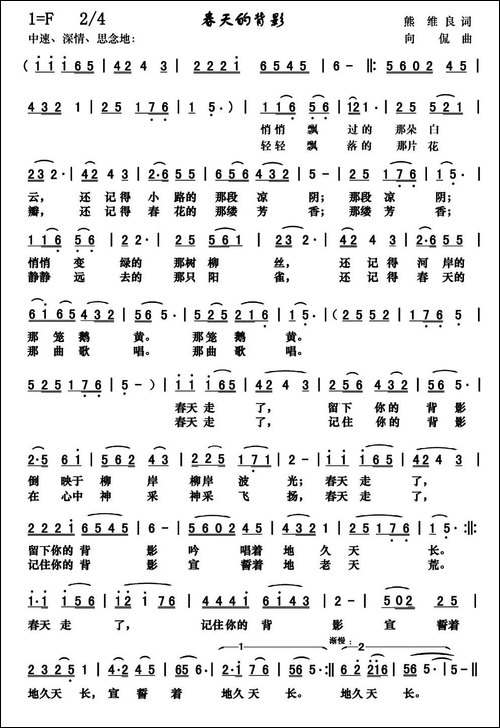 春天的背影