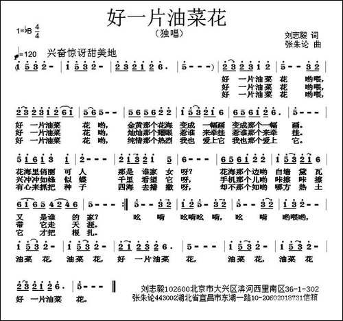 好一片油菜花