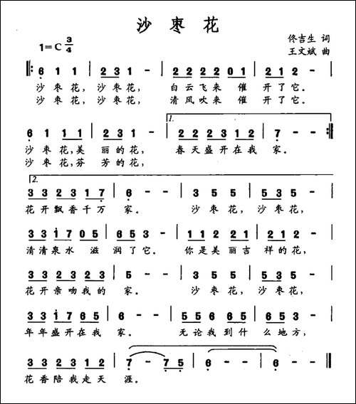 沙枣