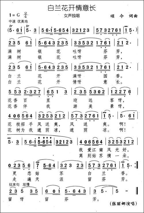 玉兰花开情意长-又名：白玉兰情意长