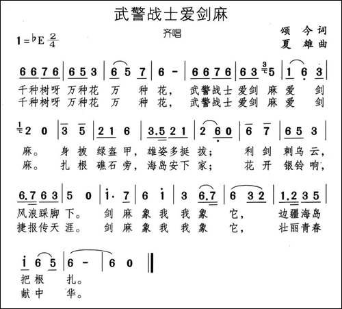 武警战士爱剑麻