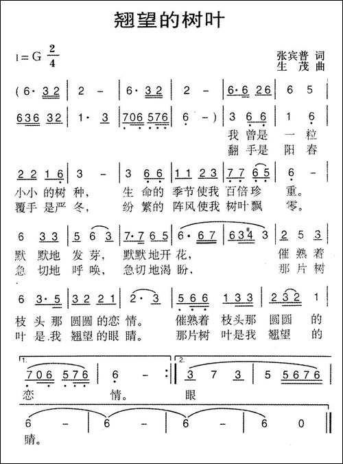 翘望的树叶
