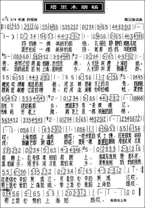 塔里木胡杨