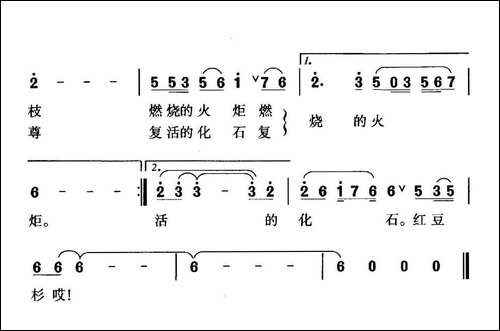 铜钹山上红豆杉