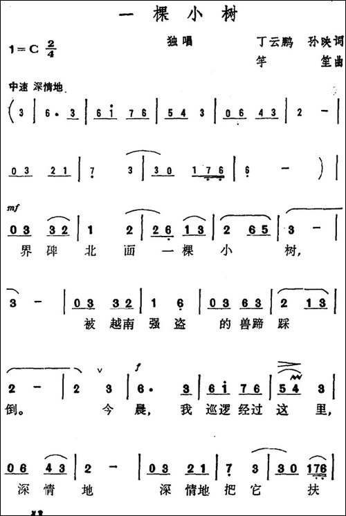 一棵小树