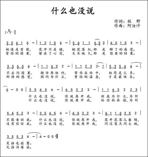 什么也没说