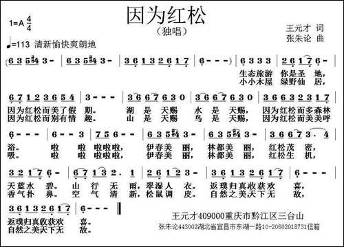 因为红松-