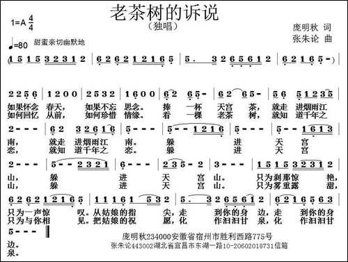 老茶树的诉说