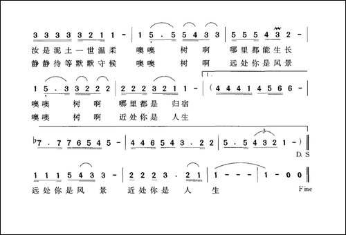 树之恋