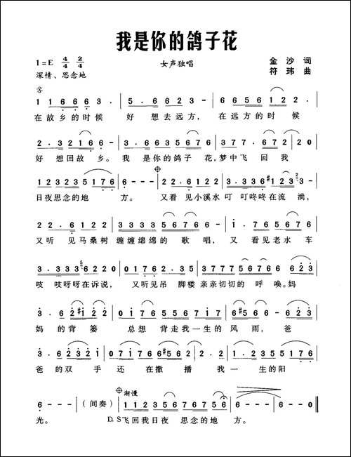 我是你的鸽子花