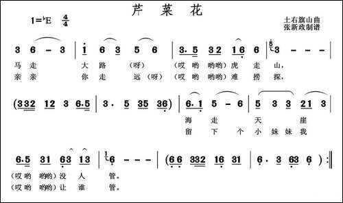 芹菜花