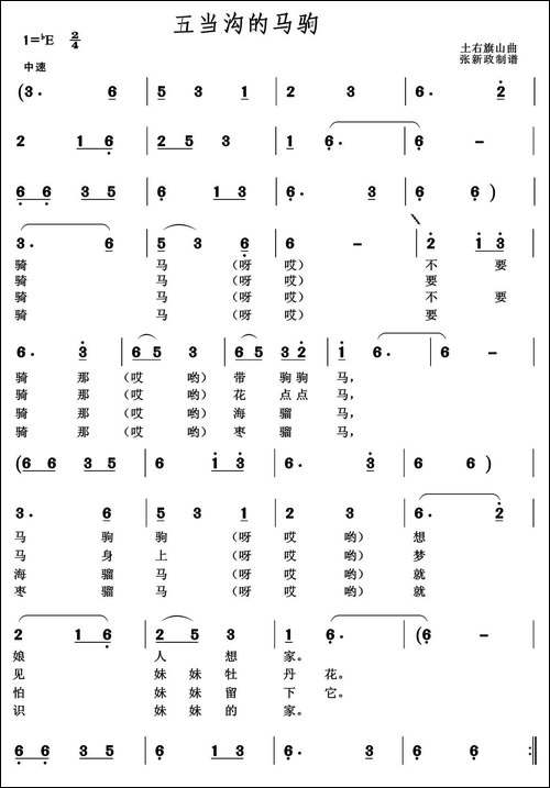 五当沟的马驹