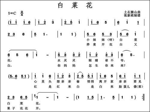 白菜花