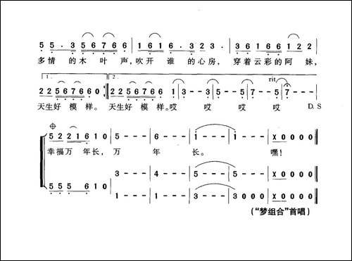 幸福山寨-向远词-符玮曲