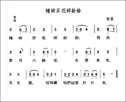 槐树开花碎纷纷