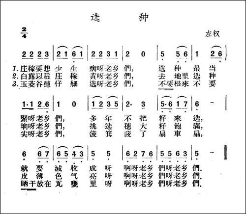 选种