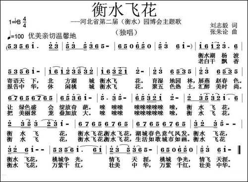 衡水飞花-