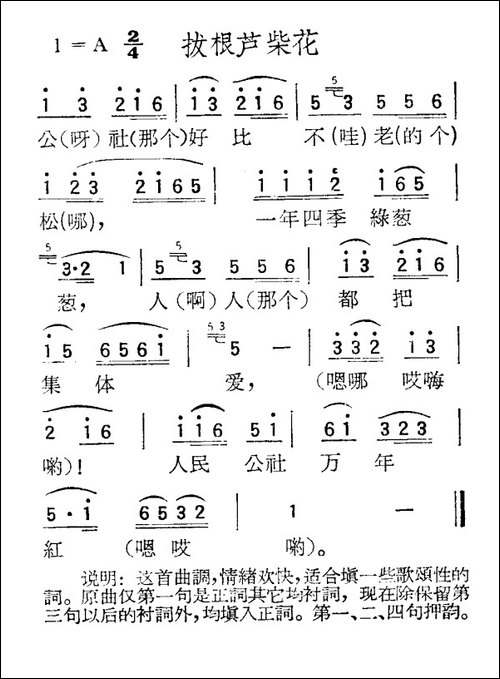 苏北小调：拔根芦柴花