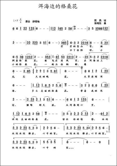 洱海边的格桑花