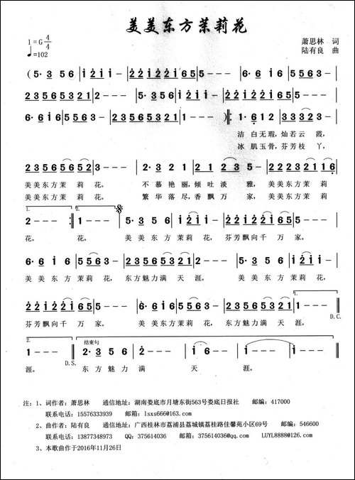 美美东方茉莉花
