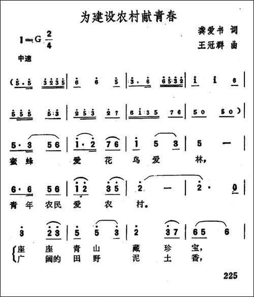 为建设农村献青春