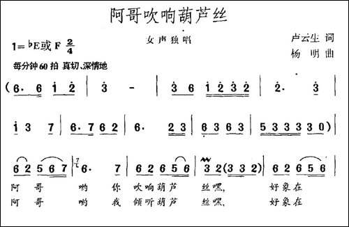 阿哥吹响葫芦丝-卢云生词-杨明曲