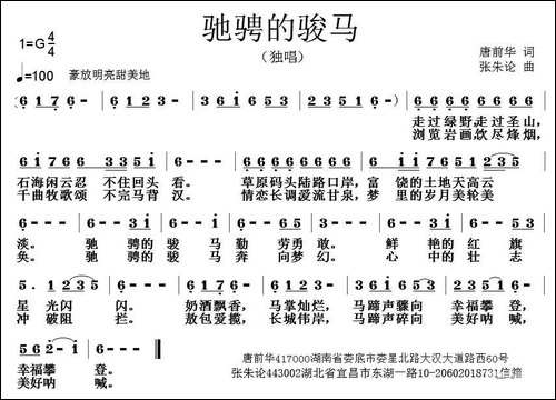 驰骋的骏马