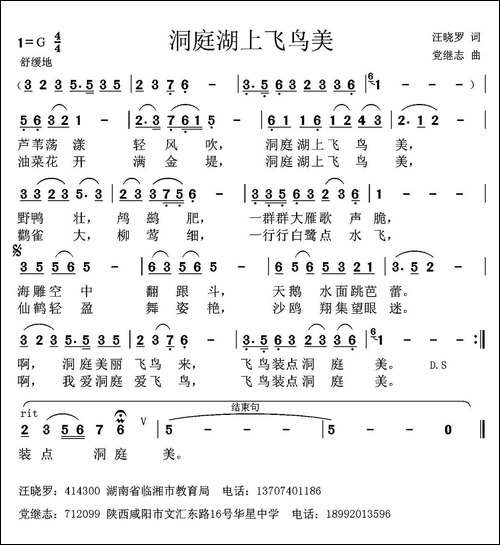 洞庭湖上飞鸟美-