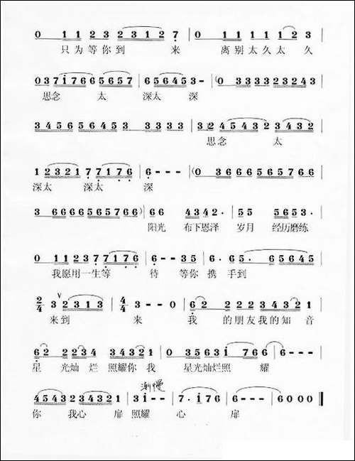 阳光布下恩泽