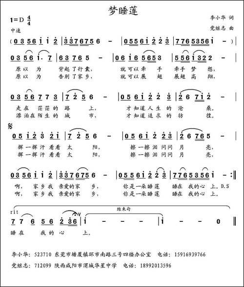 梦睡莲