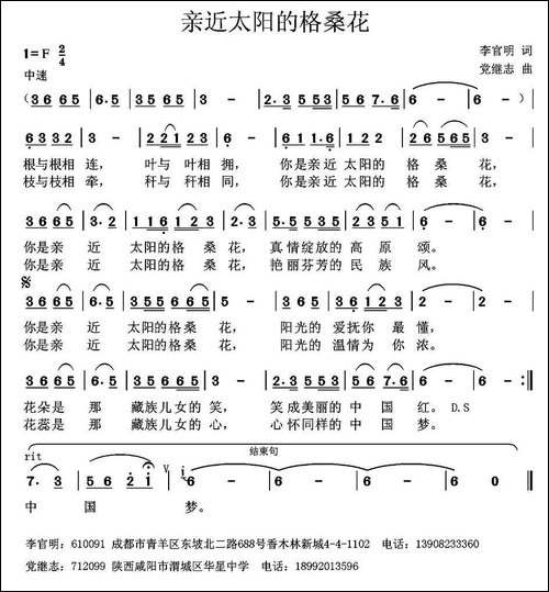 亲近太阳的格桑花-
