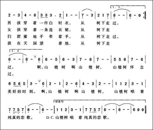 山楂树之恋-郝艺英词-曾国盛曲