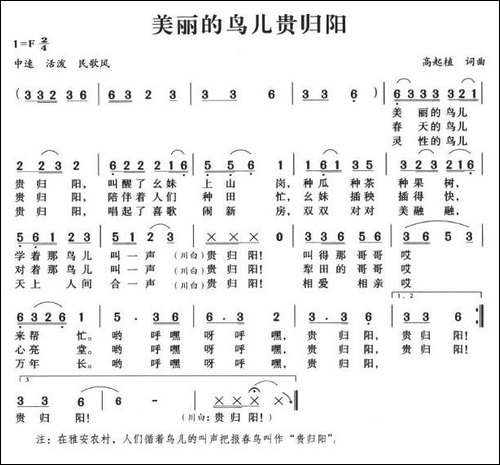 美丽的鸟儿归贵阳