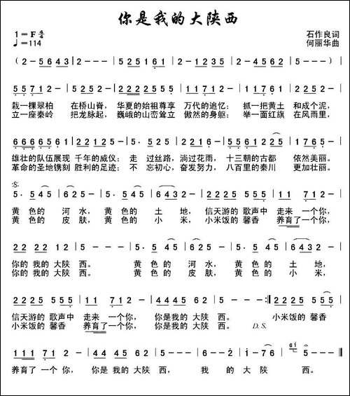 你是我的大陕西