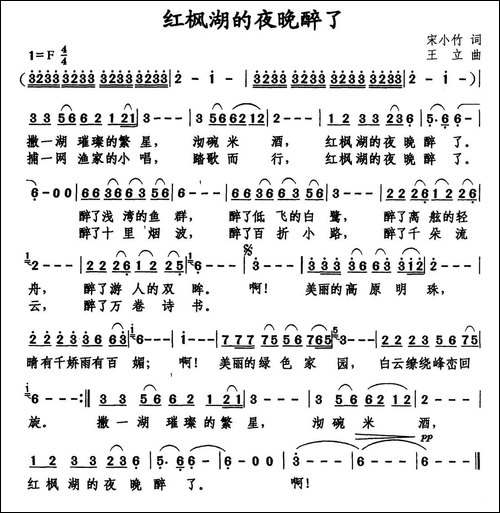 红枫湖的夜晚醉了