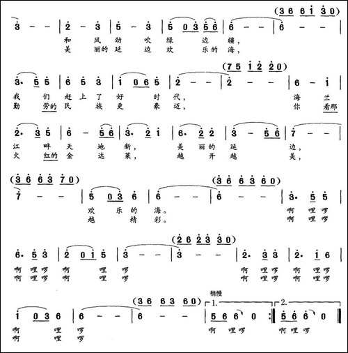 美丽的延边欢乐的海-刘志毅词-成学曲