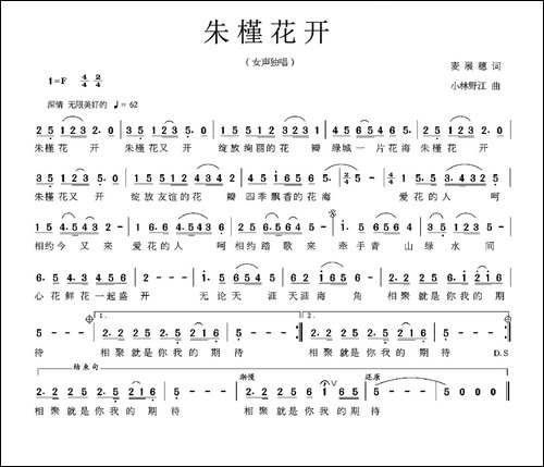 朱槿花开-麦展穗词-小林野江曲