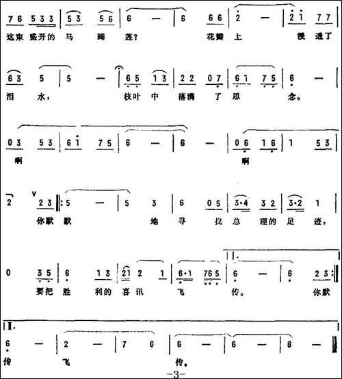 马蹄莲的歌