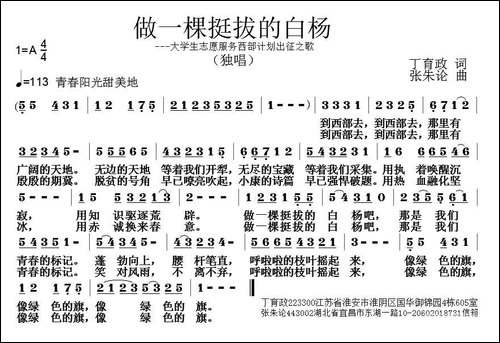 做一棵挺拔的白杨