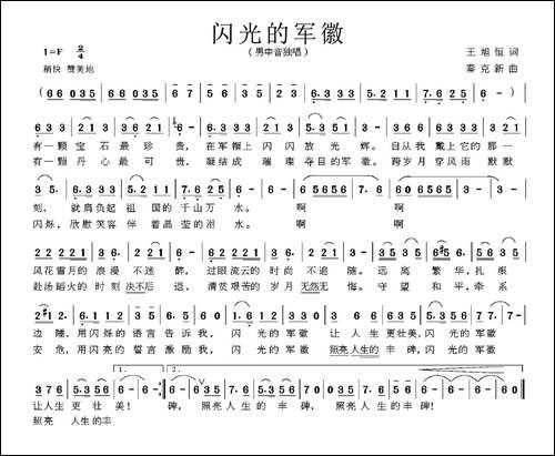 闪光的军徽
