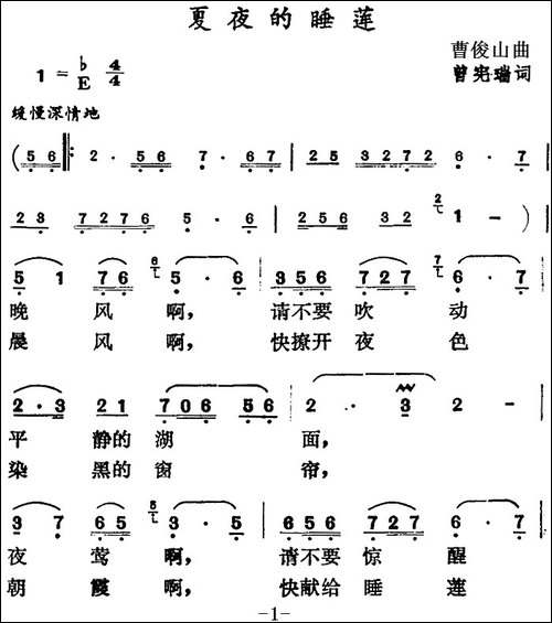 夏夜的睡莲
