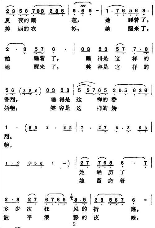 夏夜的睡莲