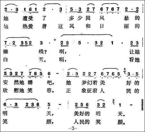 夏夜的睡莲