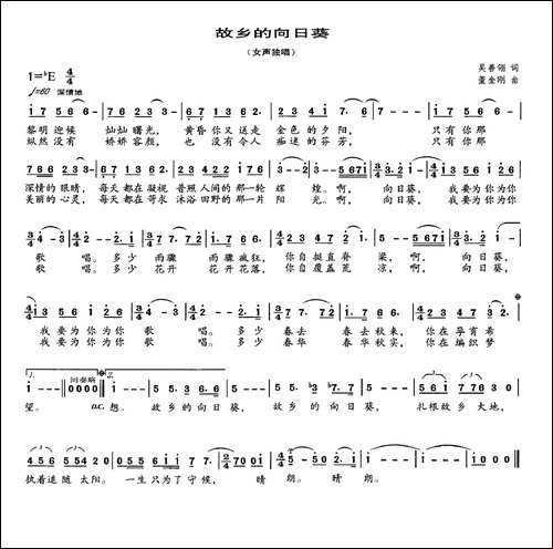 故乡的向日癸